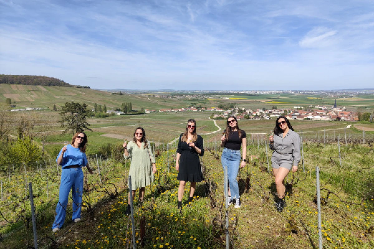 The Must-Have Tradition, tasting in the vineyard - Exploregion