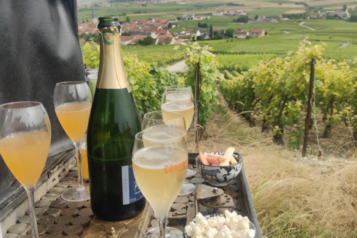 The Must-Have Tradition, tasting in the vineyard - Exploregion
