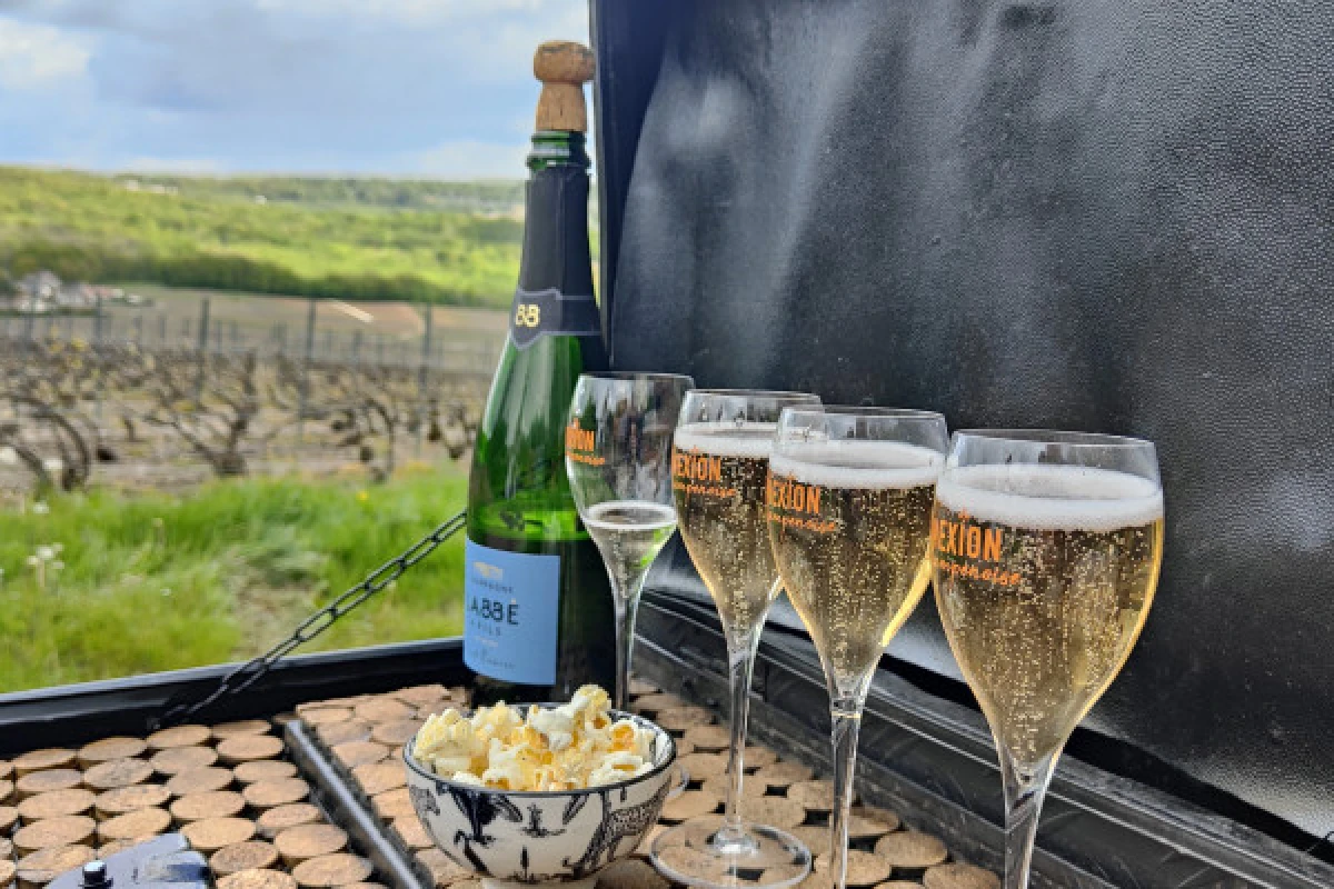 The Must-Have Tradition, tasting in the vineyard - Exploregion