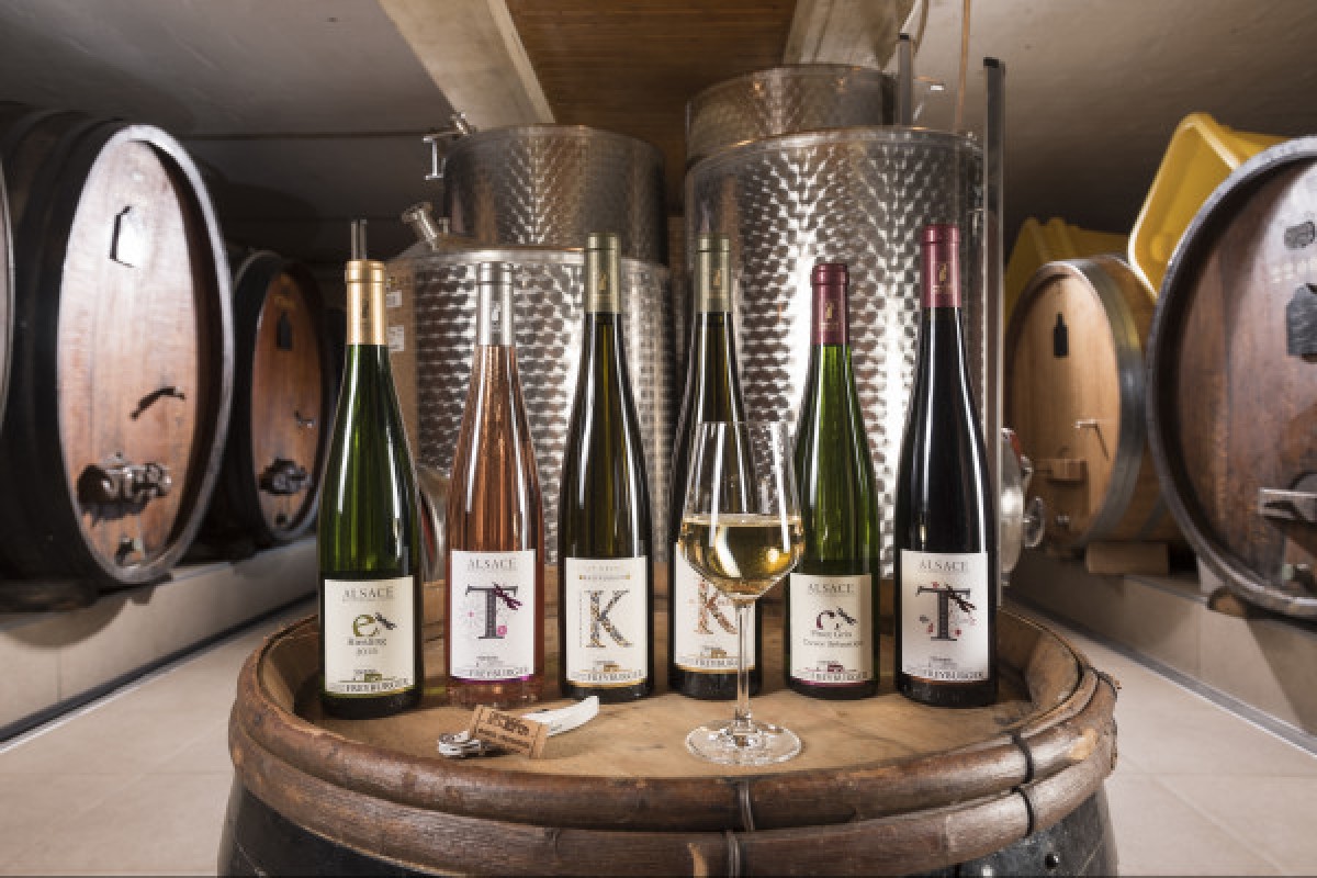 3 Wines 3 Chocolates : Perfect Pairing ! - Exploregion