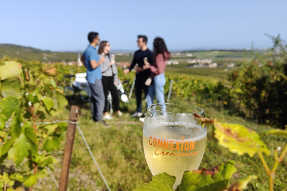 The unmissable Millésimé, tasting in the vineyard - Exploregion
