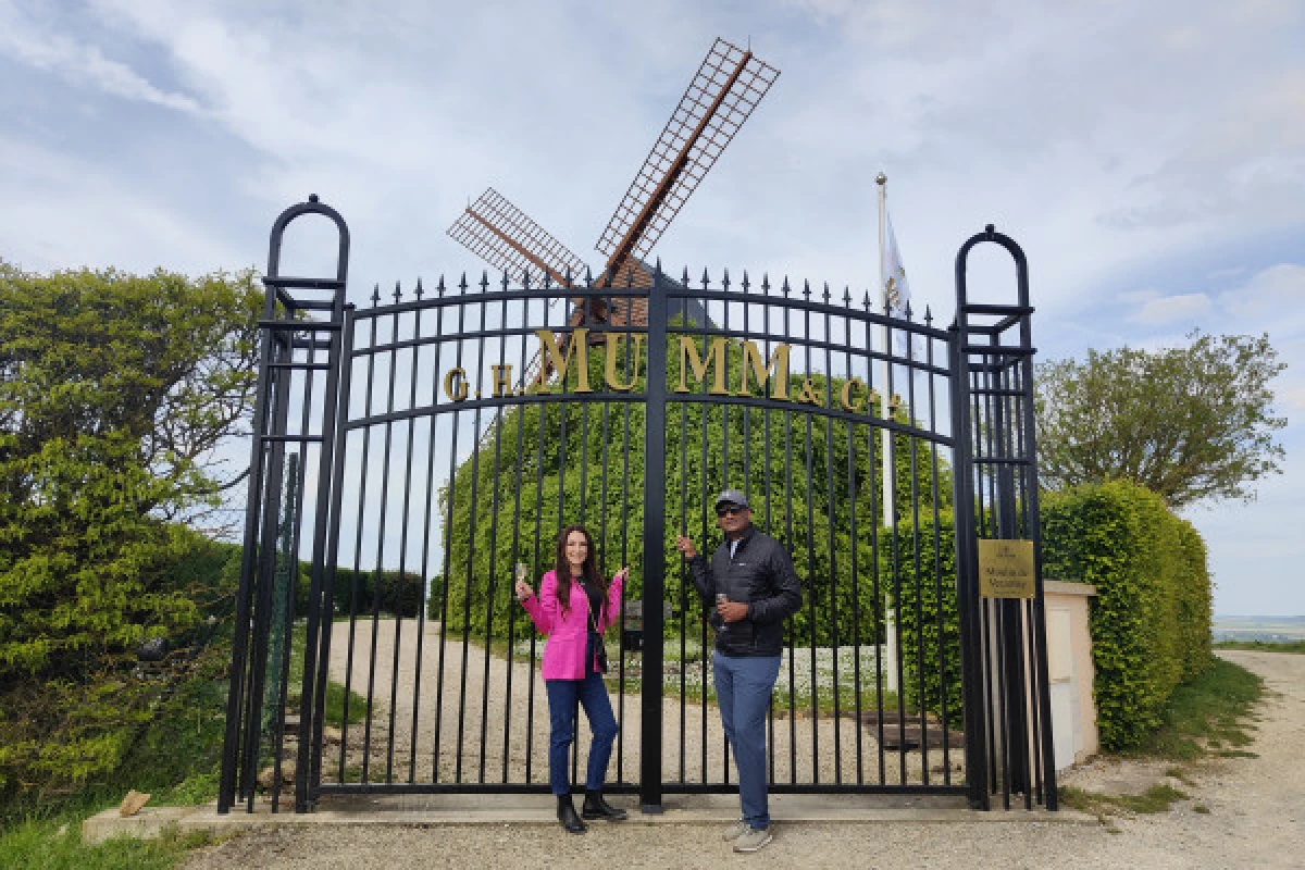 The unmissable Millésimé, tasting in the vineyard - Exploregion