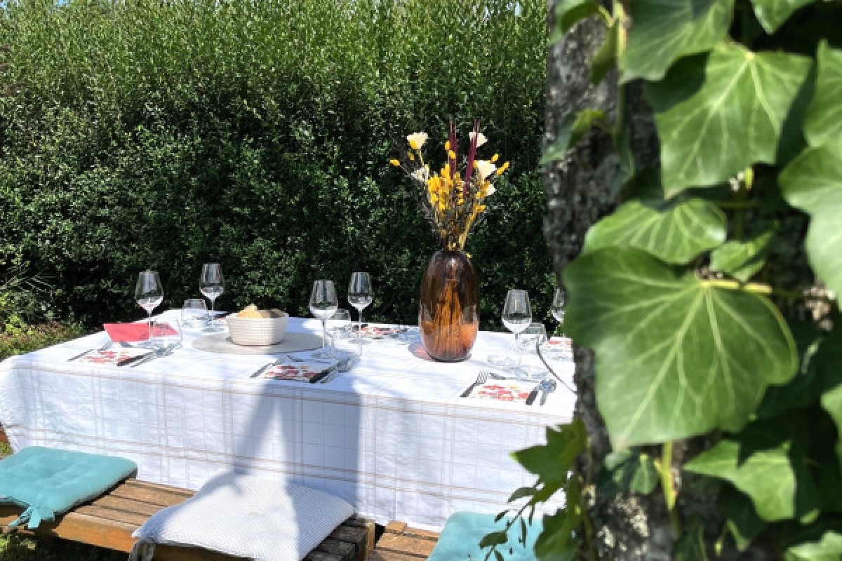 Lunch in the Vineyard - Exploregion
