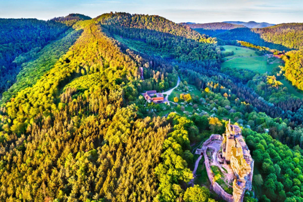 DIGITAL TREASURE LEMBACH (BY FOOT) - Exploregion DIGITAL TREASURE LEMBACH (BY FOOT) - Exploregion