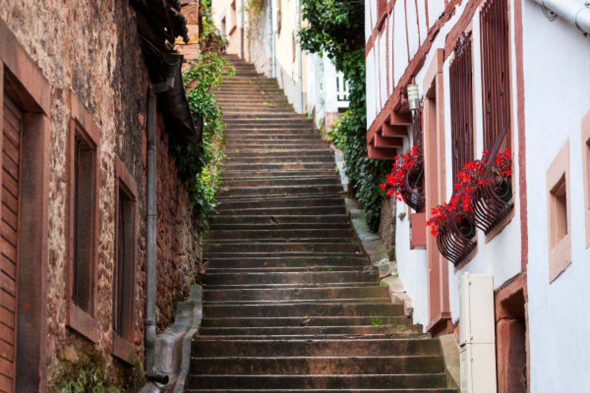 DIGITAL TREASURE NIEDERBRONN (BY FOOT) - Exploregion