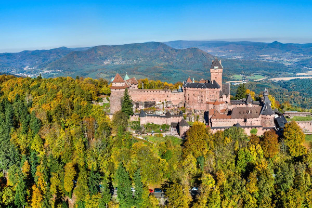 DIGITAL TREASURE ORSCHWILLER (BY FOOT) - Exploregion DIGITAL TREASURE ORSCHWILLER (BY FOOT) - Exploregion