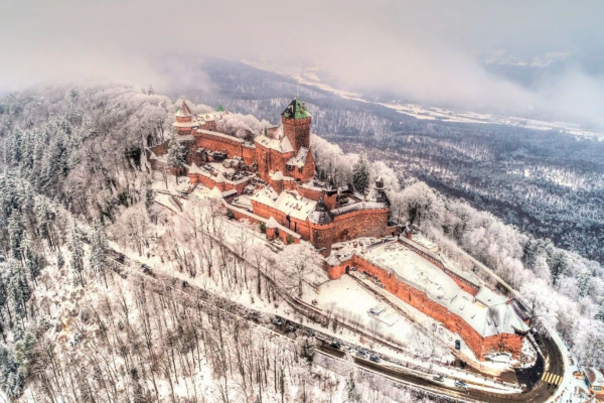 DIGITAL TREASURE ORSCHWILLER (BY FOOT) - Exploregion DIGITAL TREASURE ORSCHWILLER (BY FOOT) - Exploregion