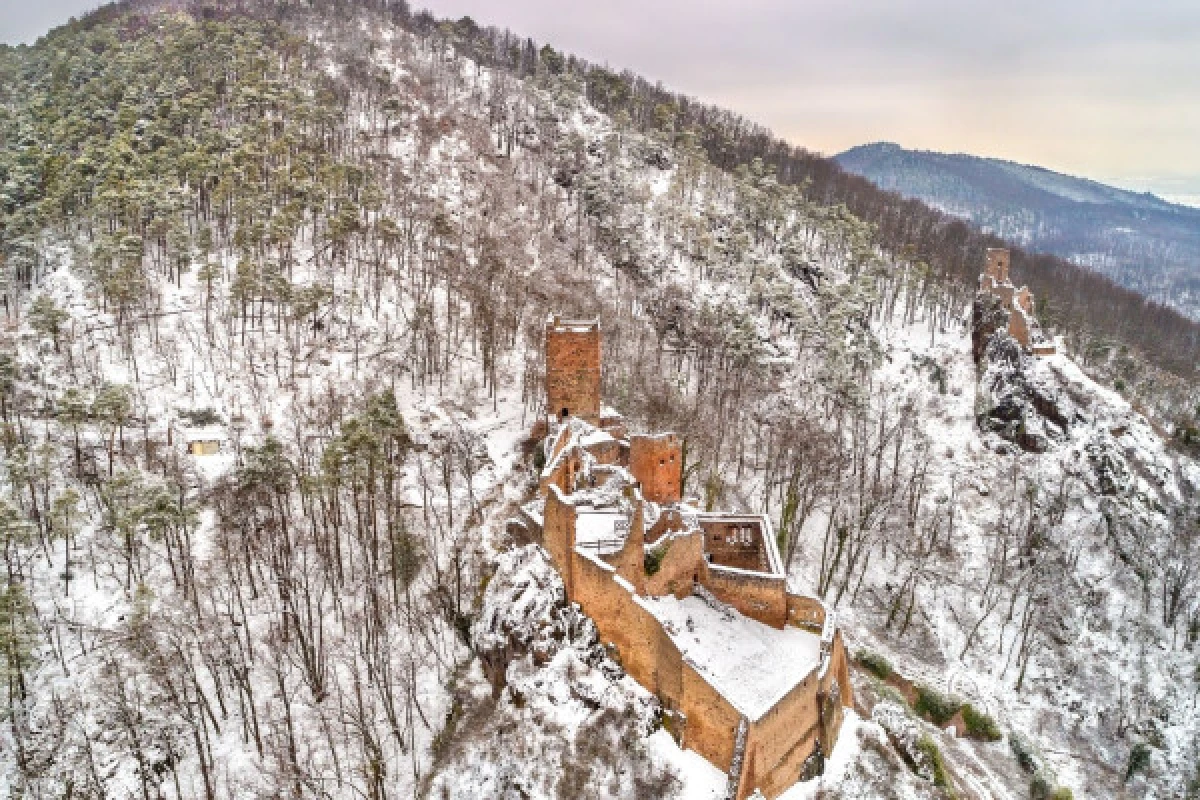 DIGITAL TREASURE RIBEAUVILLÉ (BY FOOT) - Exploregion DIGITAL TREASURE RIBEAUVILLÉ (BY FOOT) - Exploregion