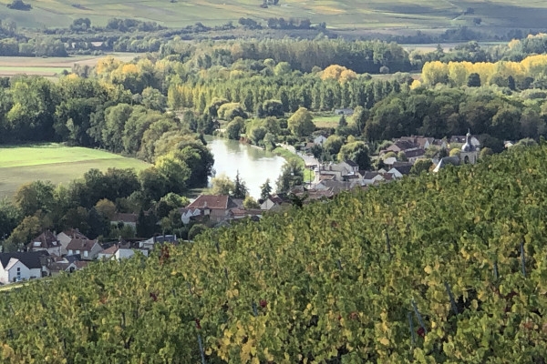 Sparkling Escape: Scenic Views & Champagne Tastings-1h30 - Exploregion