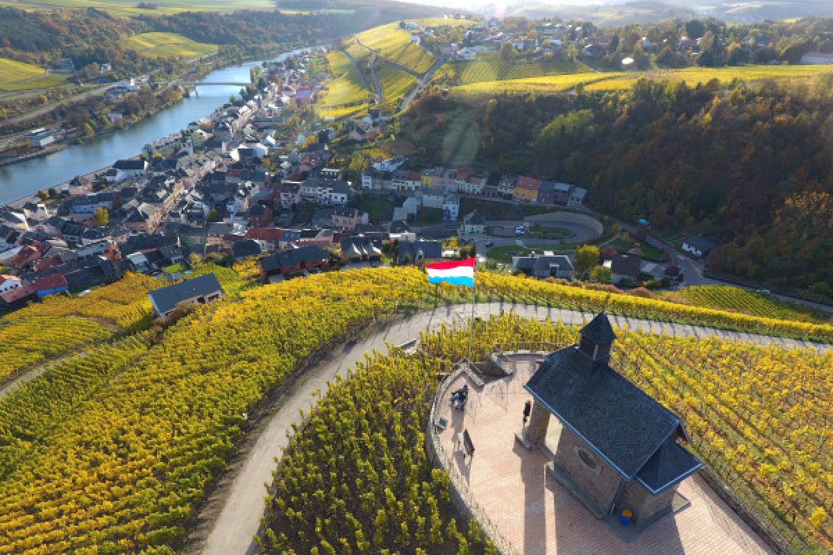 Erkunden Sie die charmante Mosel-Tagestour River & Wine - Exploregion