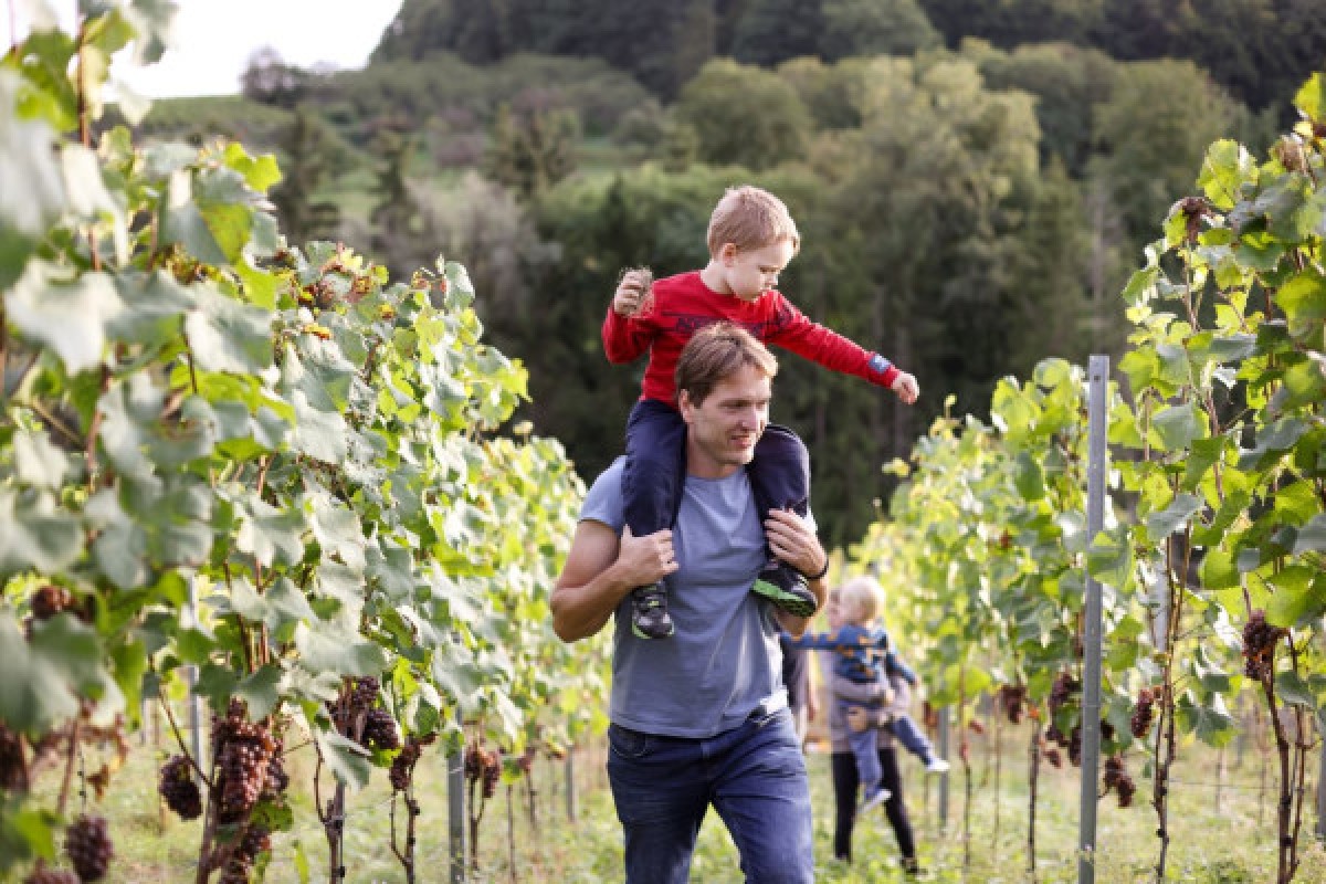 Erkunden Sie die charmante Mosel-Tagestour River & Wine - Exploregion