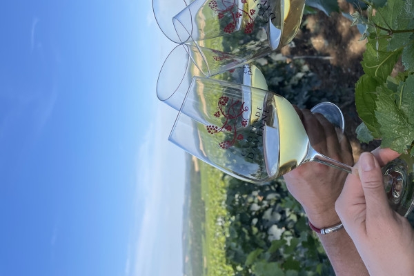 Grands Crus tour in e-Mehari and Chablis tasting - Exploregion