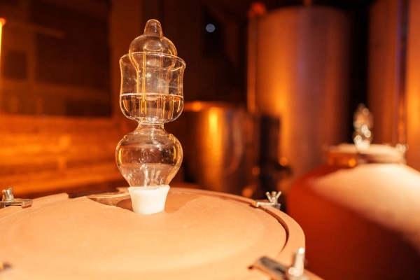 Immersive cellar tour and Valentine's evening - Exploregion