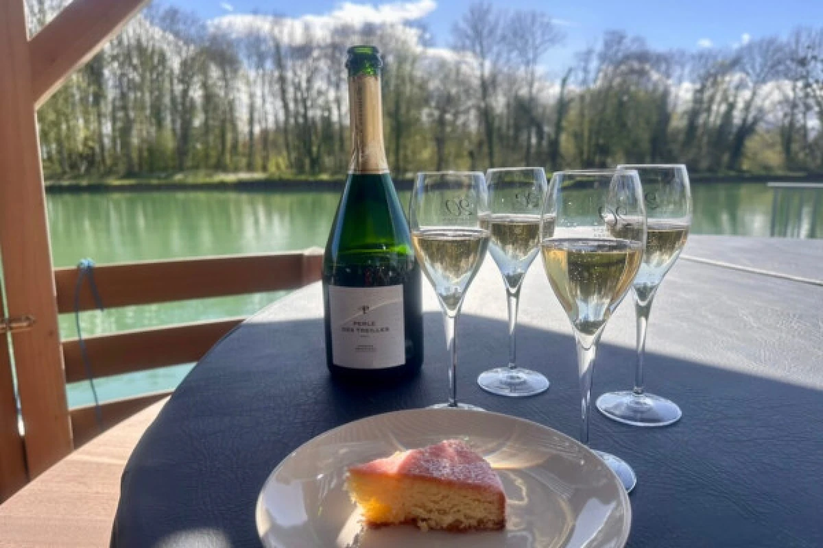 Interlude Cruise on a Solar House Boat in Champagne - Exploregion