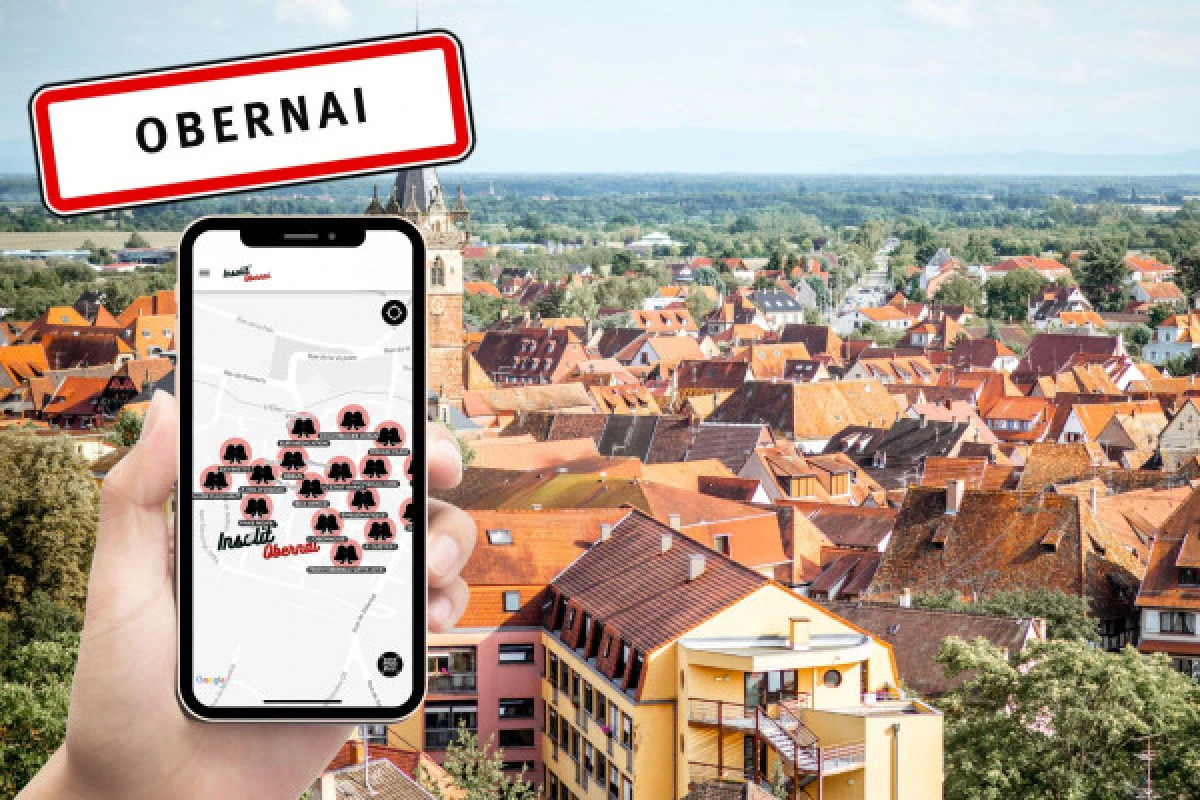 ENTDECKUNGSSCHNITZELJAGD OBERNAI - Exploregion