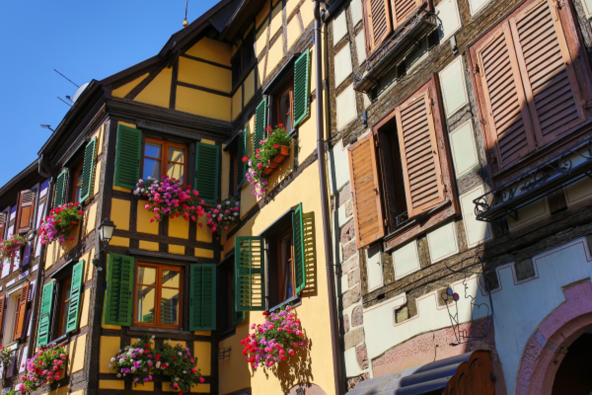 ENTDECKUNGSSCHNITZELJAGD RIBEAUVILLÉ - Exploregion