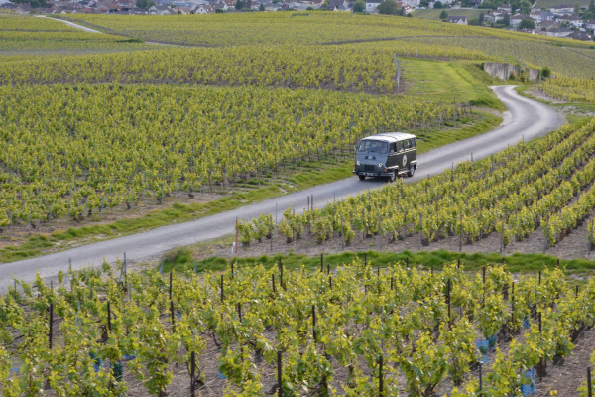 The Essential tour from Epernay - Exploregion