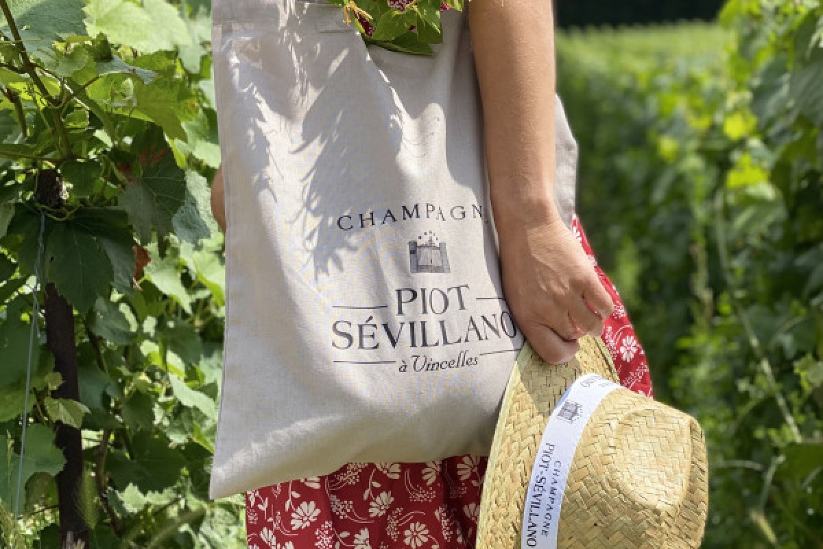 The Gourmet Immersion - Walking Stroll, Tour & Gastronomy - Exploregion