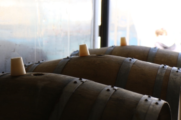 Eintauchen: Geheimnisse der Fässer - Exploregion