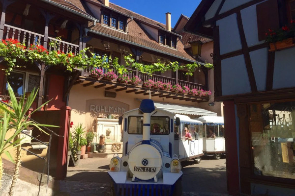 Bummelbahn des Winzers - Exploregion
