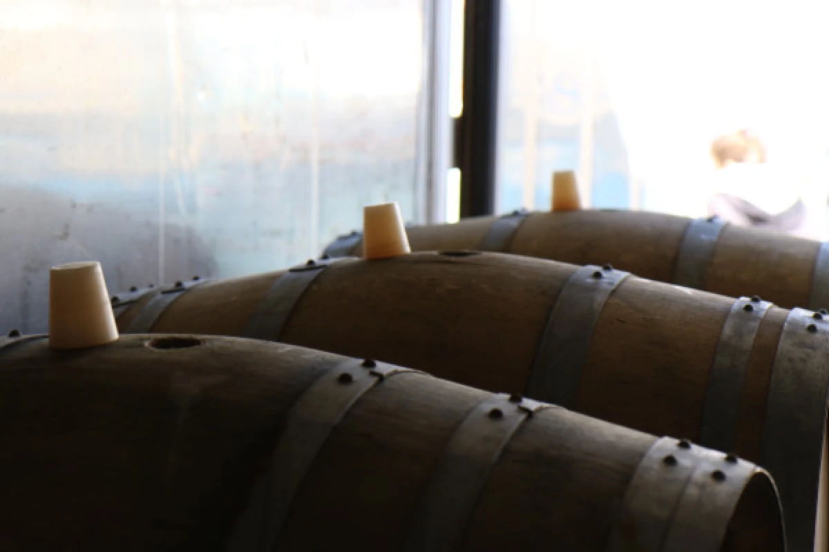 Visit our cellars - Champagne Cuillier - Exploregion