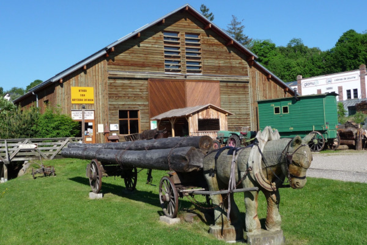 Museum des Holzhandwerks : Führung - Exploregion
