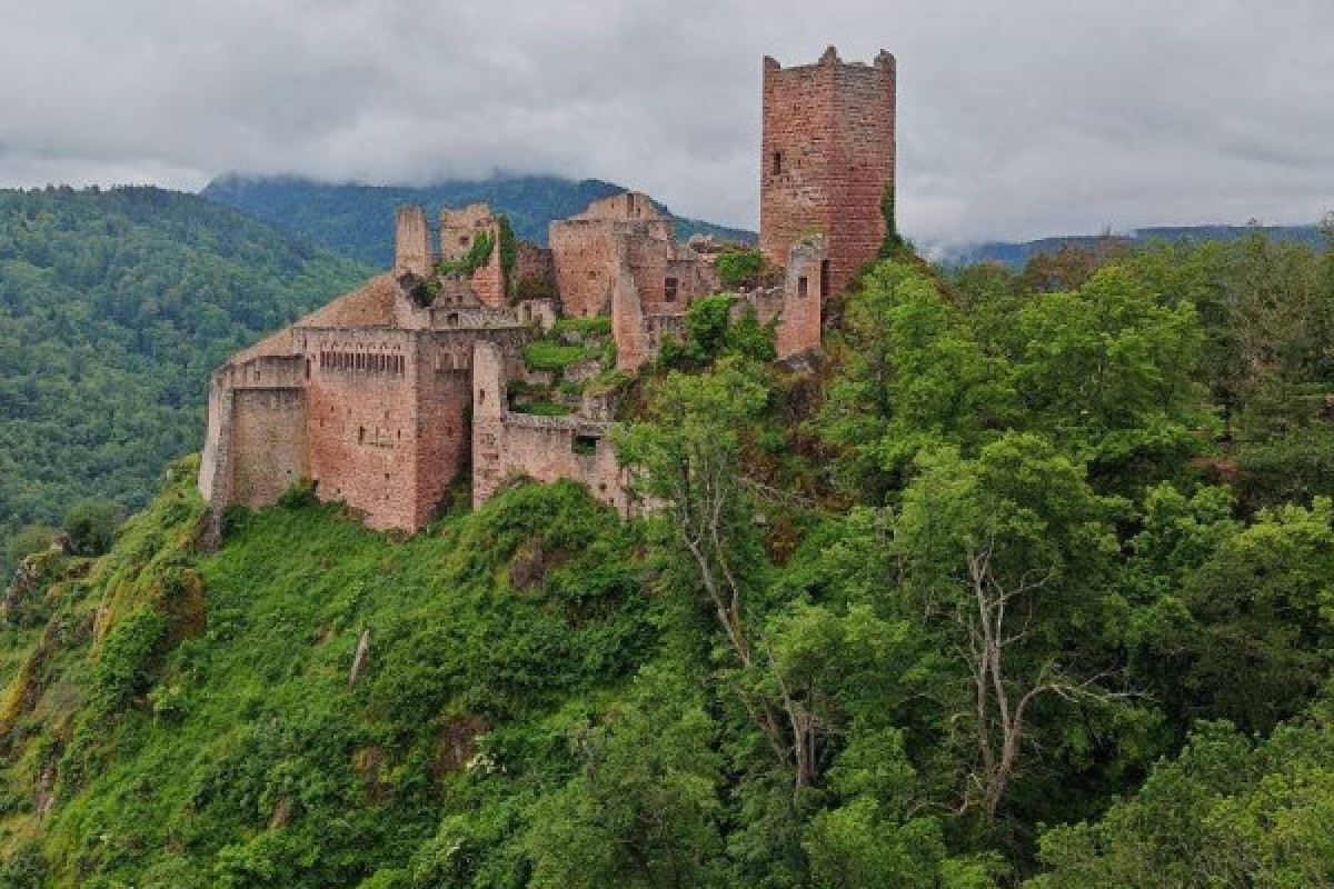 Weihnachten im Elsass zwischen Traditionen und Natur 3 Tage - Exploregion