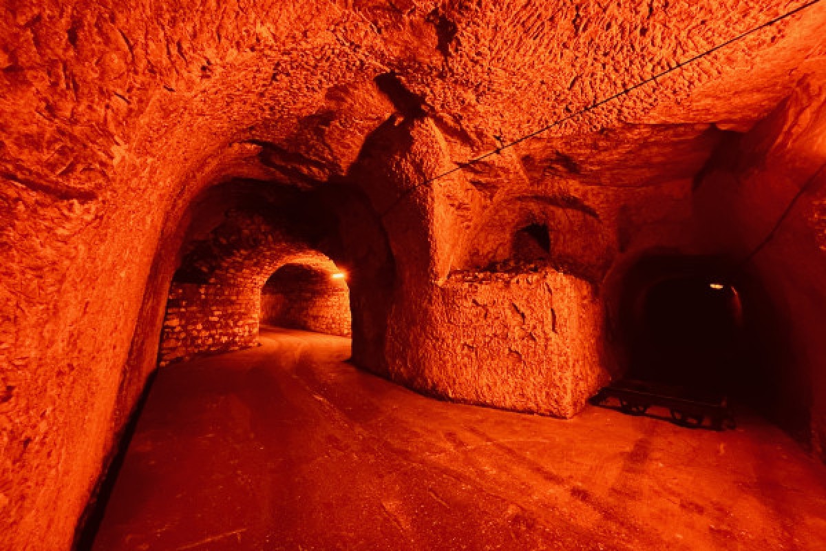 PATRIMOINE MONDIAL - Visite du Maréchal de France - Exploregion