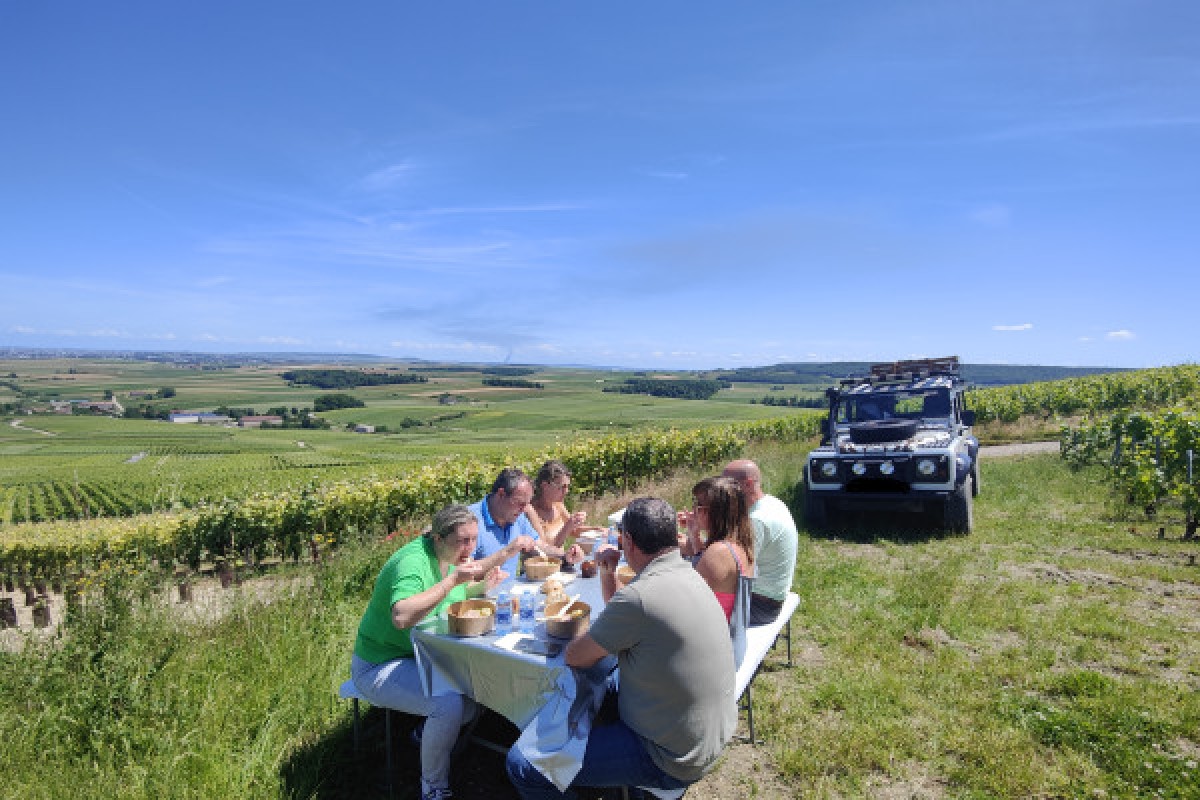 The must-see: Picnic and Champagne tasting - Exploregion