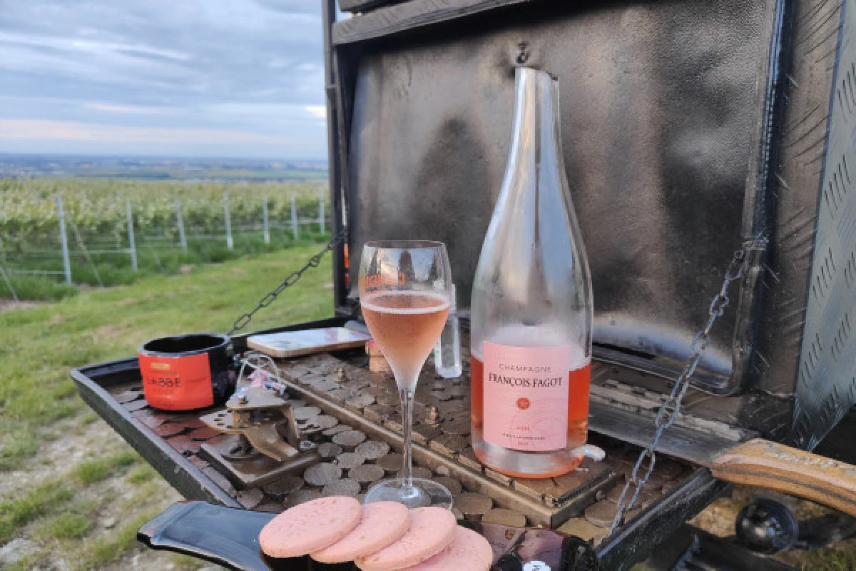 The must-see: Picnic and Champagne tasting - Exploregion