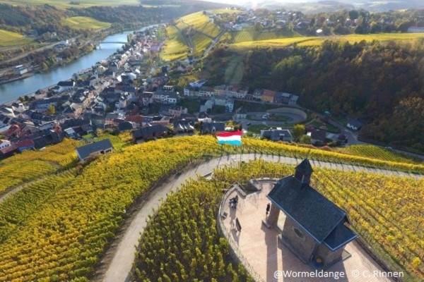 Privatisierung River & Wine Day Tour (4 oder 8 Stunden) - Exploregion