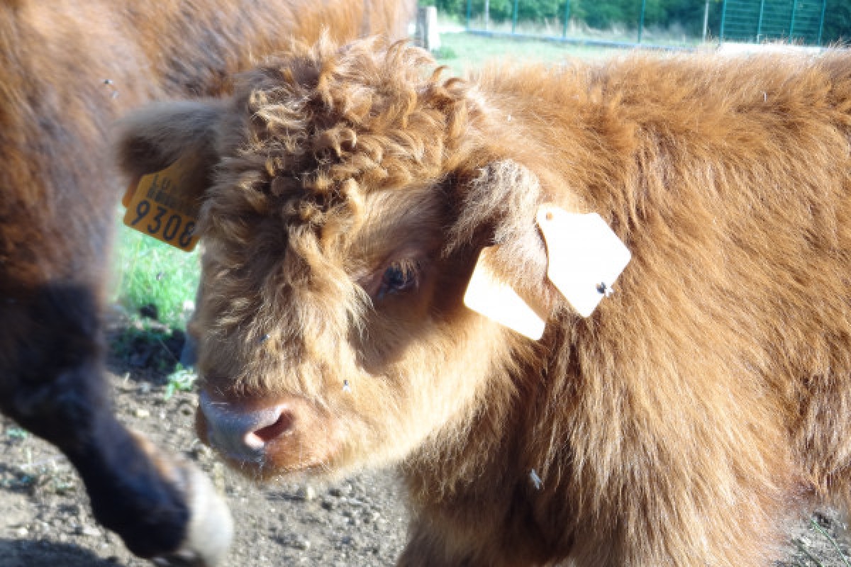 Gruppenticket: Rallye und Schatzsuche im Tierpark - Exploregion