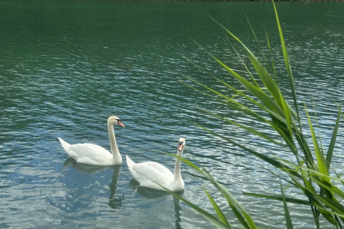 Semi-Private Solar House Boat Cruise in Champagne - Exploregion