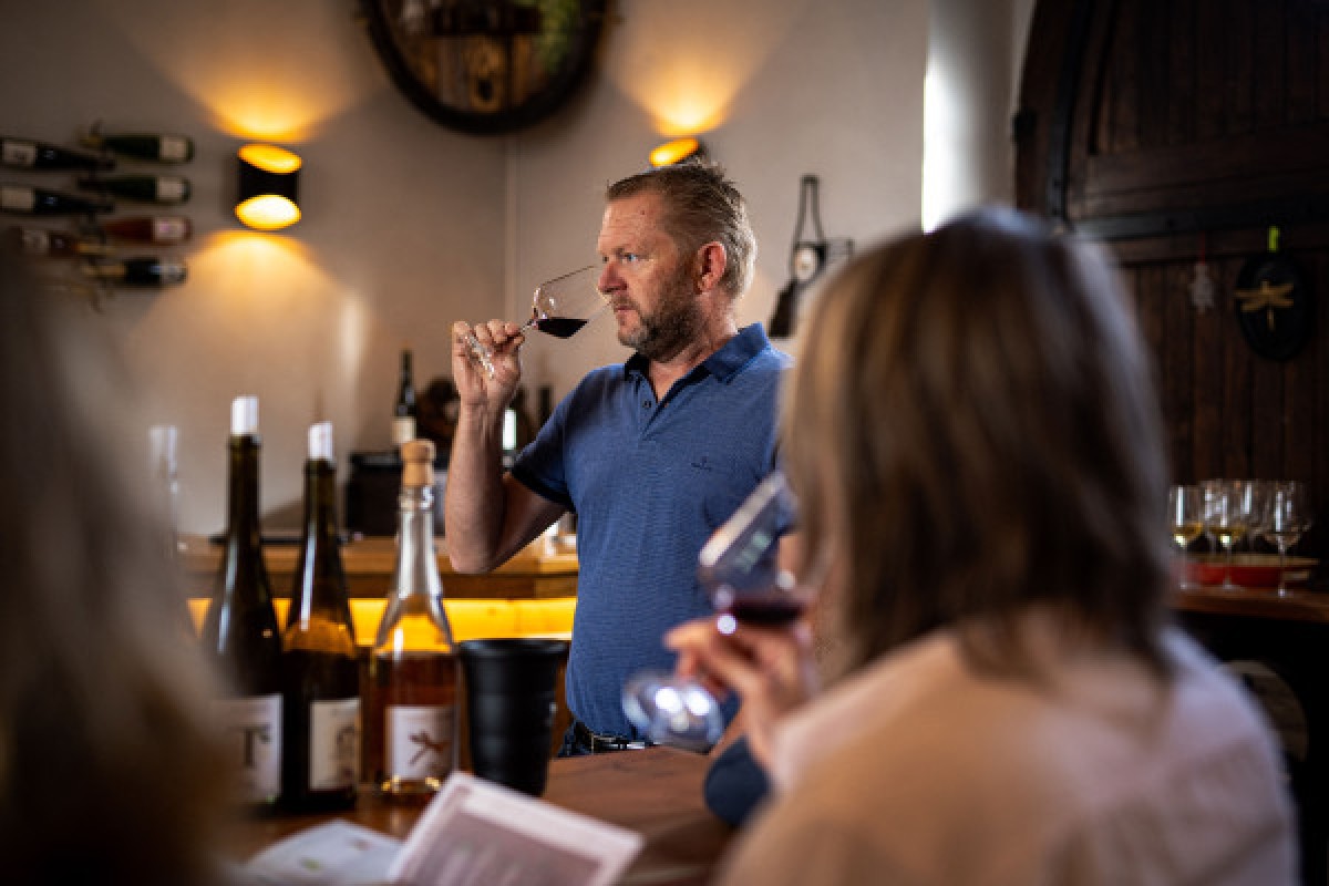 Meet our wines with an in-depth tasting. - Exploregion