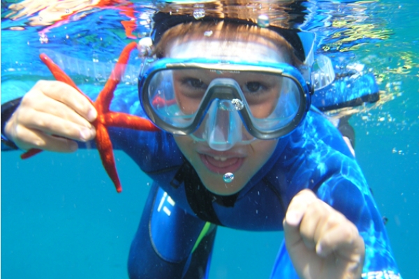 Snorkeling supervised with instructor - Les Issambres - Exploregion