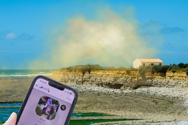 Zauberspruch in Île d'Oléron: Outdoor-Escape-Game zum Thema Magie - Exploregion