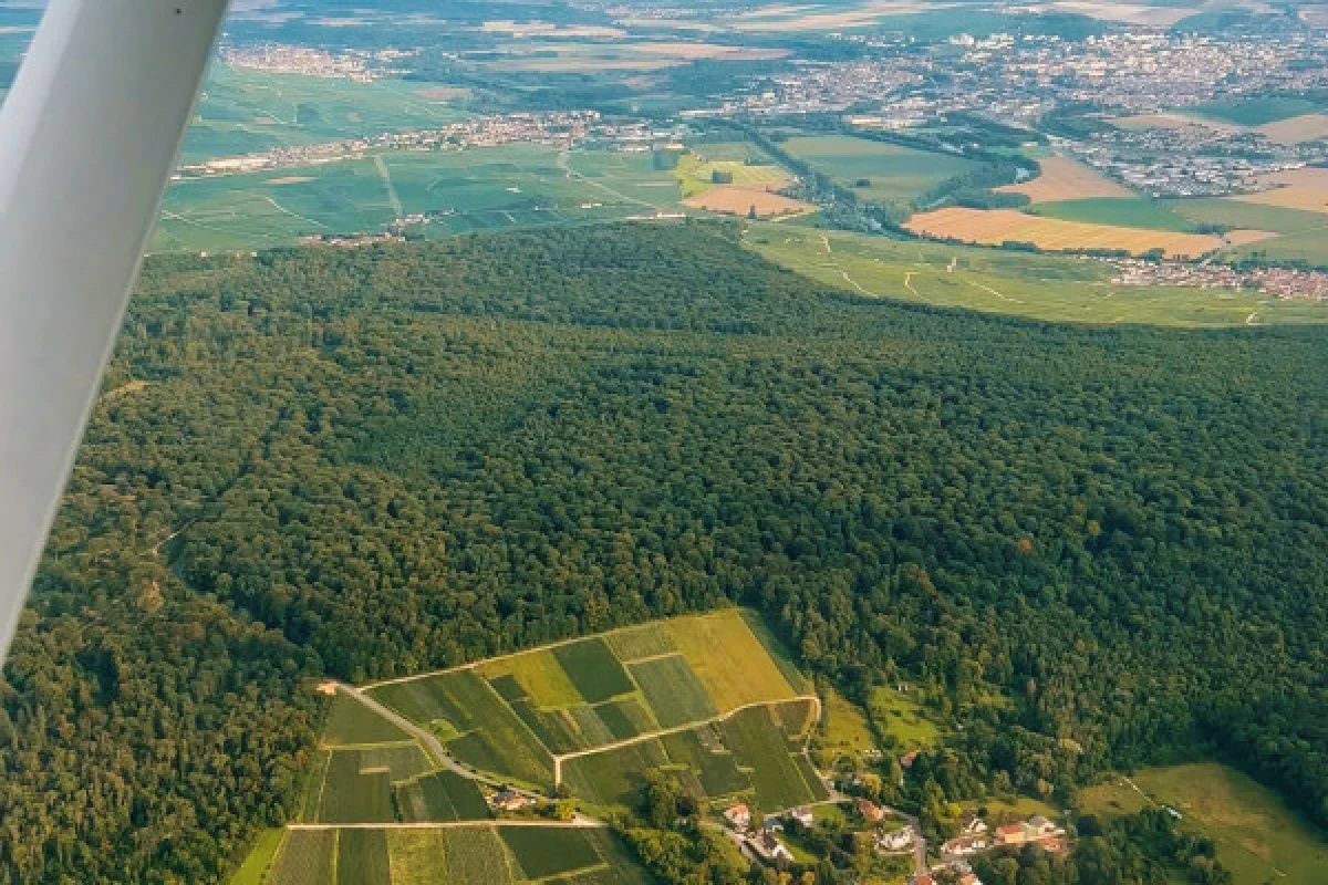 1/2 day  Earth and Sky  CLASSIC in Champagne - Exploregion