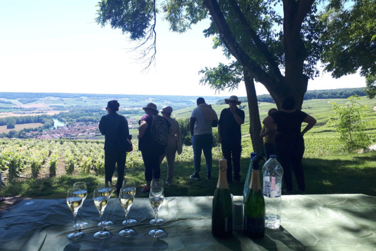 1/2 day  Earth and Sky  CLASSIC in Champagne - Exploregion