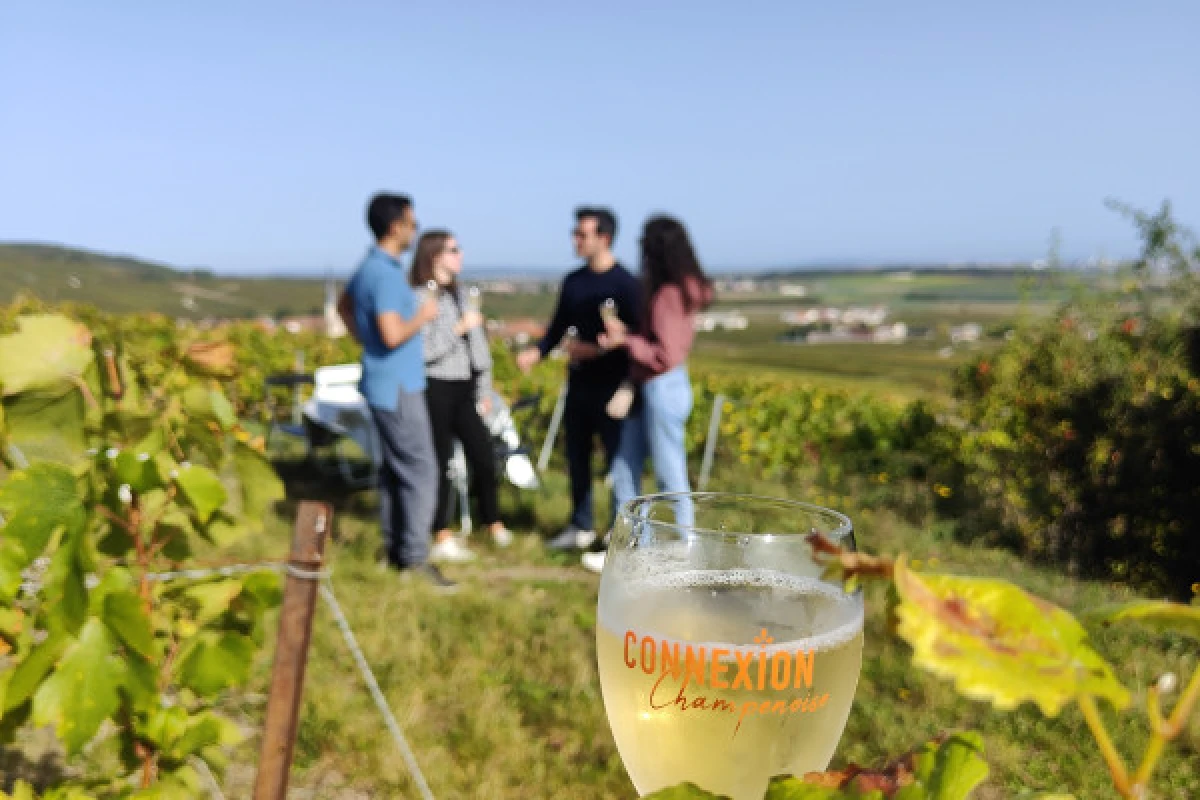 Flight over the vineyards and tasting / day - Exploregion