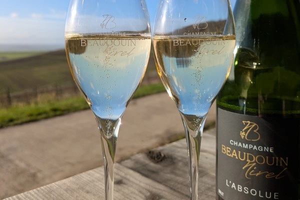 Tasting of 3 vintages in the vineyard - Nogent l'Abbesse - Exploregion Tasting of 3 vintages in the vineyard - Nogent l'Abbesse - Exploregion