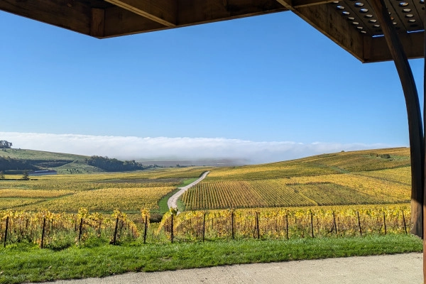 Tasting of 3 vintages in the vineyard - Nogent l'Abbesse - Exploregion Tasting of 3 vintages in the vineyard - Nogent l'Abbesse - Exploregion