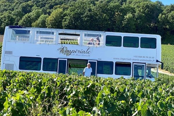 The Must-See Experience Between Vineyards  Champagne Houses - Exploregion