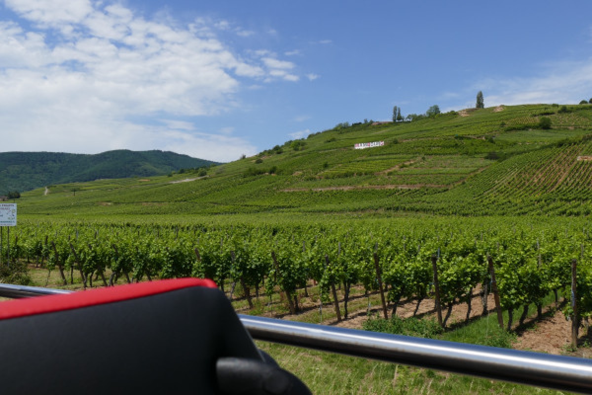 Ab Straßburg: "Best Of Alsace“ Tagestour - Exploregion