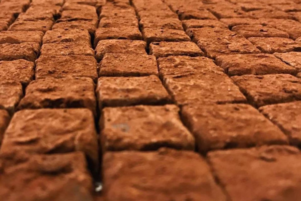 Bordeaux Food Tour - Exploregion