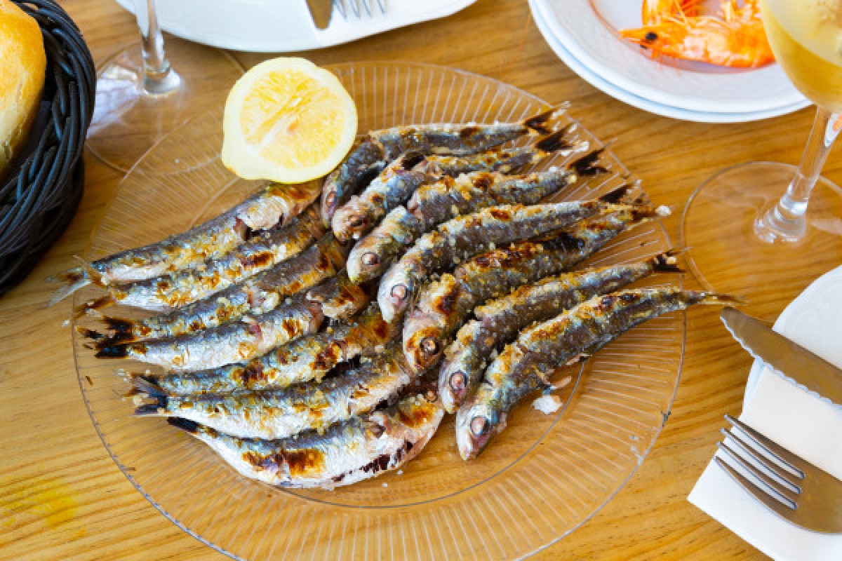 Cadiz Food Tour - Exploregion