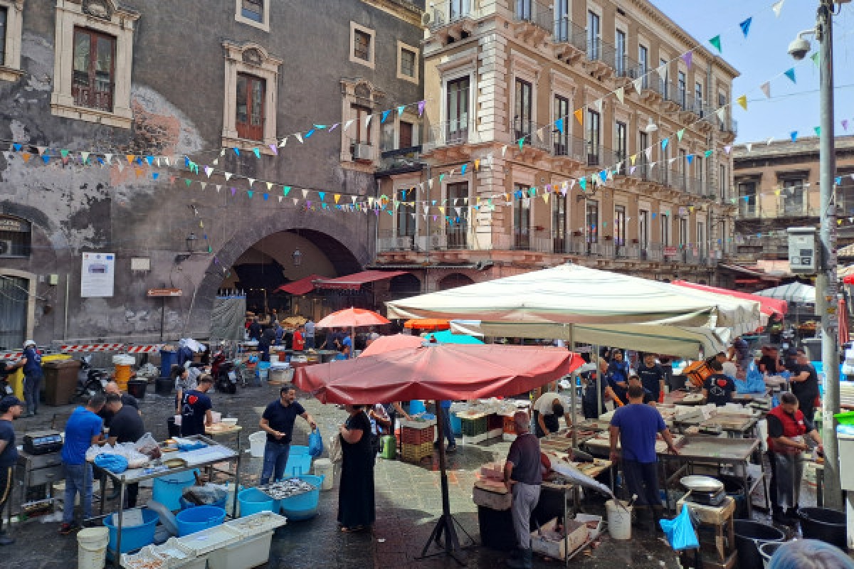 Catania Street Food Tour - Exploregion