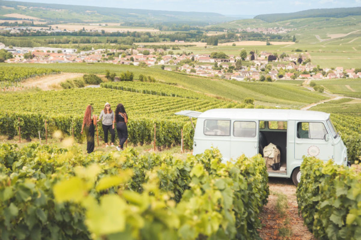 Unique day in Champagne from Epernay - Exploregion