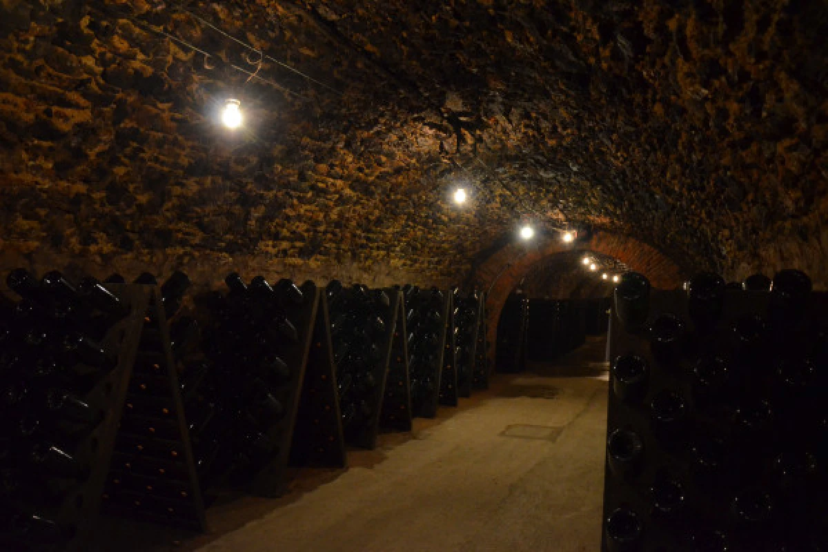 Unique day in Champagne from Epernay - Exploregion