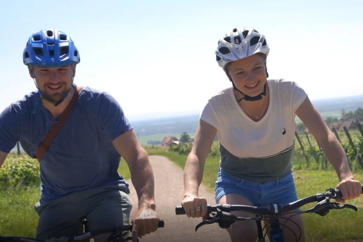 EBike, Picnic & Wine - Exploregion