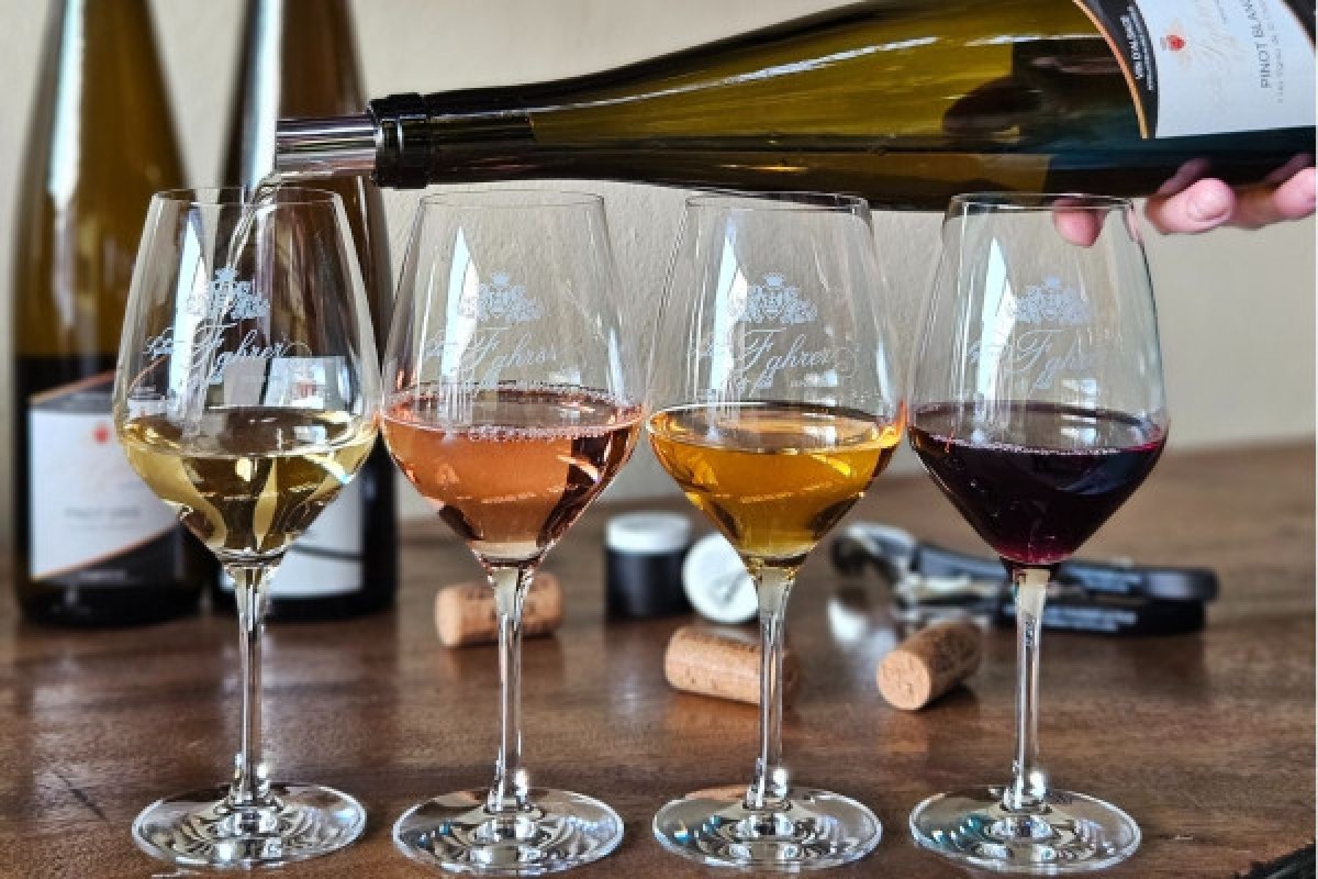 Visita guiada de bodega en Alsacia - Experiencia local - Exploregion